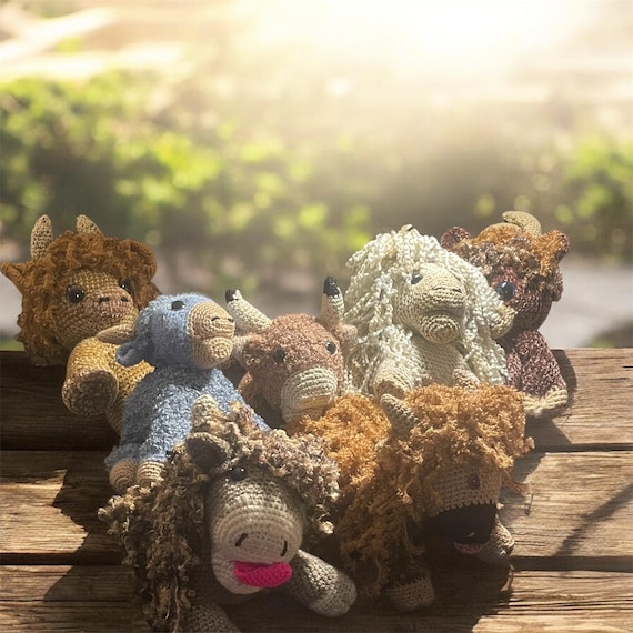 Meet High highland herd