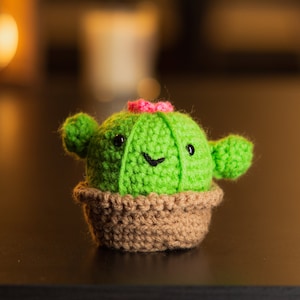 Mini Cactus Plushie: Hand Crocheted Yarn Potted Plant