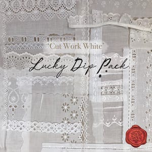 Lucky Dip Vintage Trim Pack - Cut Work White -  Scrap Lace pack, Slow Stitching Pack, Mystery grab bag, Junk Journal Pack, White Cotton Lace