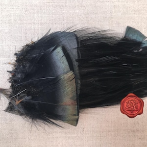 Antique Hat Feathers, Millinery Feathers, Black/Green Shimmer feathers & ostrich feathers, Hat Accessory, Millinery Trim Embellishment