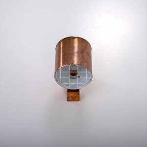 May include: A copper-colored outdoor light fixture with a white, wire mesh shade.