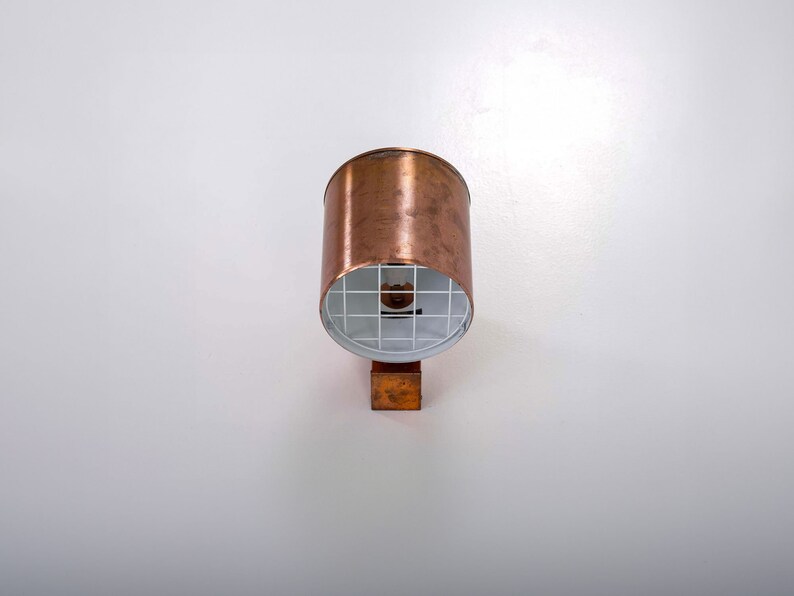 May include: A copper-colored outdoor light fixture with a white, wire mesh shade.