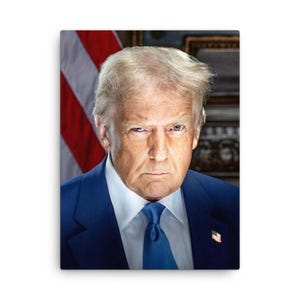 ドナルド・トランプ大統領公式肖像画 2025 額入りキャンバス - Etsy 日本