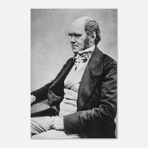 Peut inclure: Un portrait en noir et blanc d'une personne chauve avec une barbe fournie, portant un manteau sombre sur un gilet à motifs et une cravate à carreaux. La personne est représentée de trois quarts, regardant vers le côté gauche du cadre.