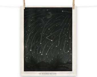 The November Meteors by Étienne Léopold Trouvelot Matte Poster