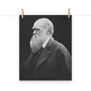 Charles Darwin Matte Poster
