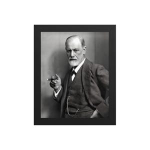 Sigmund Freud Framed Poster