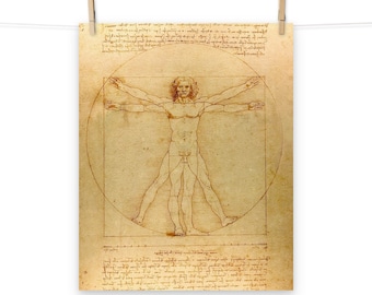 Pôster Homem Vitruviano de Leonardo da Vinci Matte