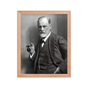 Sigmund Freud Framed Poster
