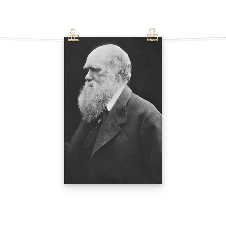 Charles Darwin Matte Poster - Etsy