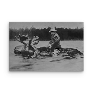 Teddy Roosevelt reitet auf einem Elch