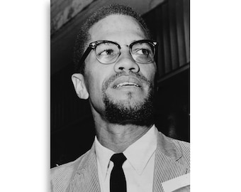 Malcolm X Matte Poster