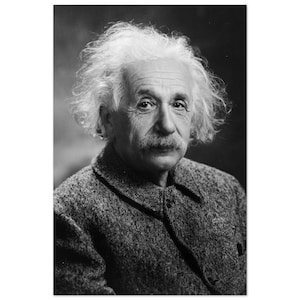 Albert Einstein Matte Poster