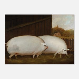Könnte beinhalten: Ein Ölgemälde zeigt zwei große weiße Schweine in einem Stall. Die Schweine sind der Mittelpunkt, mit ihren prallen Körpern und rosa Ohren. Der Hintergrund zeigt eine Holzkonstruktion und einen ländlichen Landschaftsausschnitt mit einem Zaun und einem kleinen Gebäude.