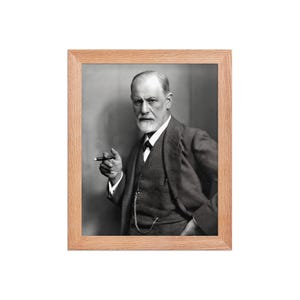 Sigmund Freud Framed Poster