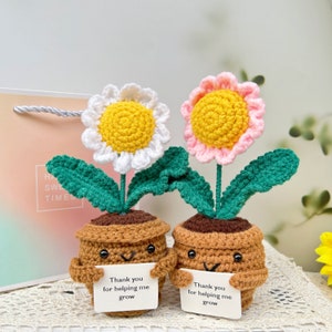 May include: Two handmade crochet flower pot dolls. One has a white daisy with a yellow center, the other a pink flower with a yellow center. Each holds a sign that reads "Thank you for helping me grow."
