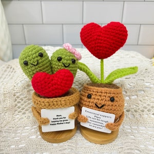 Crochet Emotional Support Succulent/Heart Plants Caring Gifts,Handmade Crochet Succulent Pot,Encouragement Gift,Mother’s Gift,Gift for Her