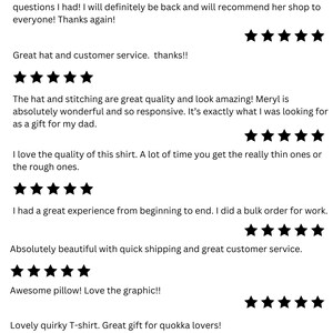 May include: A collection of customer reviews for a shop, with five-star ratings and positive comments about the quality of the products and the customer service. The reviews mention a shirt, a hat, and a pillow.