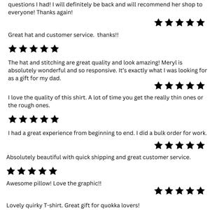 Pu&ograve; includere: Una raccolta di recensioni dei clienti per un negozio, con valutazioni a cinque stelle e commenti positivi sulla qualit&agrave; dei prodotti e sul servizio clienti. Le recensioni menzionano una maglietta, un cappello e un cuscino.