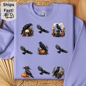 Dark Academia Raven Sweatshirt, Vintage Gothic Crowcore Pullover, Cozy Oversized Fleece Gift for Her Him, Aesthetic Literature Style Sweater