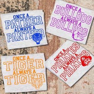 Custom school spirit shirts, Baseball Spirit Shirt, personalized mascot shirt, Retro Mascot Shirt, school shirts, sports team shirt