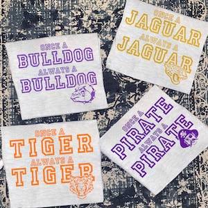 Custom school spirit shirts, Baseball Spirit Shirt, personalized mascot shirt, Retro Mascot Shirt, school shirts, sports team shirt