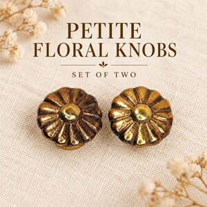 May include: A set of two round, antique brass-colored metal knobs with a raised, multi-petaled floral design. The text PETITE FLORAL KNOBS SET OF TWO is printed above the knobs in a dark brown serif font.