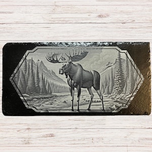 May include: A black and white engraved slate coaster featuring a moose standing in a forest setting. The moose is in the center of the image and is surrounded by trees and a river.