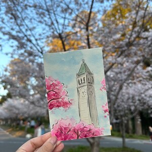 UC Berkeley Postkarte - Kirschblüten und Glockenturm - Original handgemaltes Aquarell