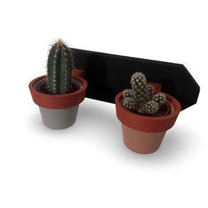 Könnte beinhalten: Zwei Kakteen in Töpfen vor einem schwarzen, abgewinkelten Hintergrund. Die Töpfe sind terrakottafarben und grau. Ein Kaktus ist hoch und zylindrisch, der andere ist eine Ansammlung kleinerer Kakteen. Der Hintergrund ist eine schwarze Form.