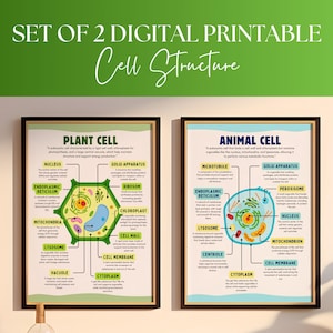 Set of 2 Cell Structure Print - Education Poster for Kids - Homeschooling Education Wall Art - Plant Cell - Animal Cell - Digital Print