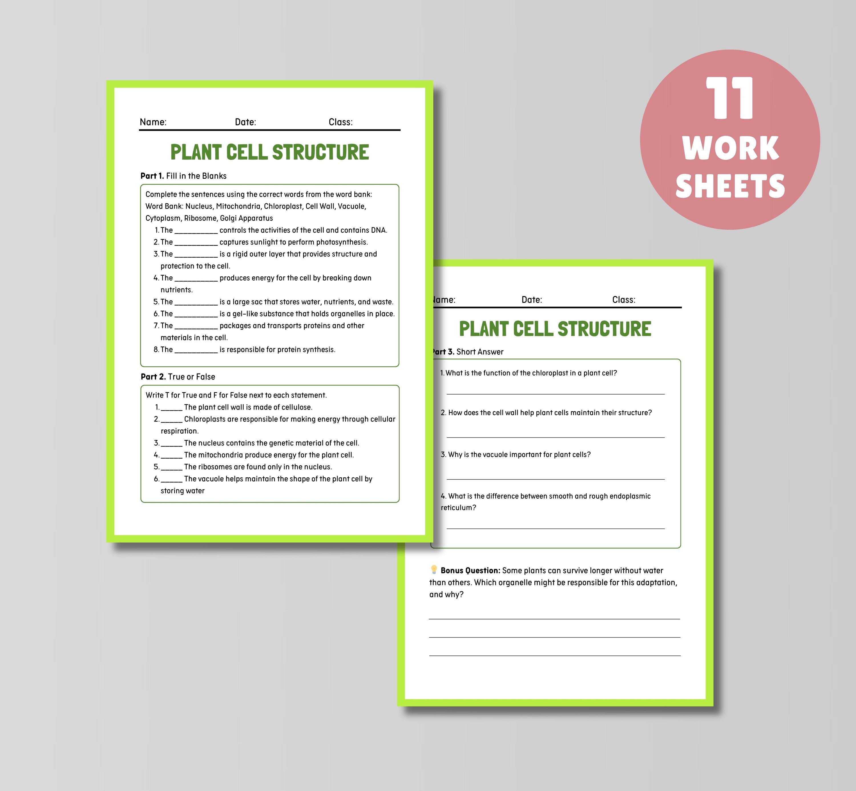 Plant Cell Structure Poster: Biology Classroom Art (digital Download ...