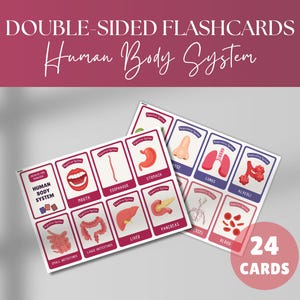 Cartes mémoire système du corps humain - cartes mémoire recto-verso - cartes mémoire scientifiques - cartes éducatives imprimables - ressource pour l'école à la maison