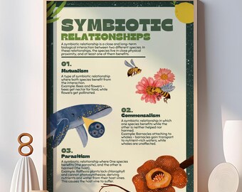 Symbiotic Relationships Poster: Modern Science Classroom Decor (Digital Download)