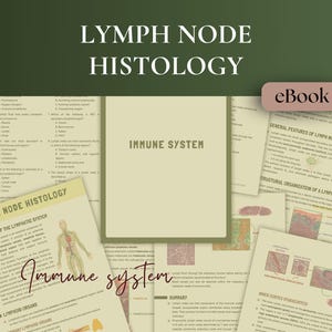 以下が含まれることがあります： 暗い緑色の背景に白い文字で「LYMPH NODE HISTOLOGY」というタイトルが書かれた電子書籍の表紙とページ。ページには、免疫系とリンパ系に関する図とテキストが掲載されています。