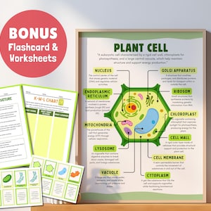 Poster sulla struttura delle cellule vegetali - Stampa didattica di biologia - Arte murale per l'aula di scienze - Decorazione per la scuola domestica - Flashcard sulle cellule - Download digitale