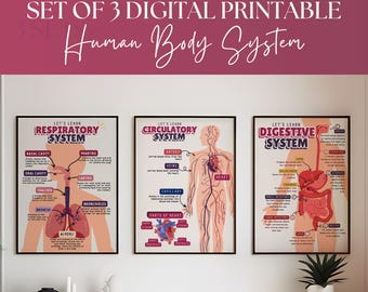 Human Body System Prints: Educational Posters for Kids (Digital Print)