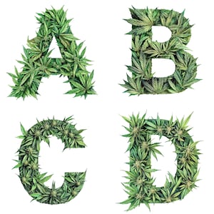 May include: The letters A, B, C, and D are formed from green cannabis leaves. The letters are arranged in a grid pattern.
