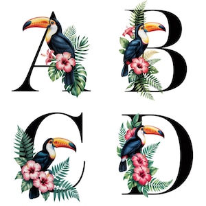 Alfabeto de Tucano Tropical de A a Z e 1 a 9 | Letras Florais da Selva PNG | Clip Art de 300 DPI | Monograma de Pássaro Exótico | Fundo Transparente