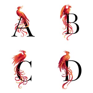 フェニックスのアルファベットクリップアート：水彩画の火の鳥の文字と数字（デジタルダウンロード）