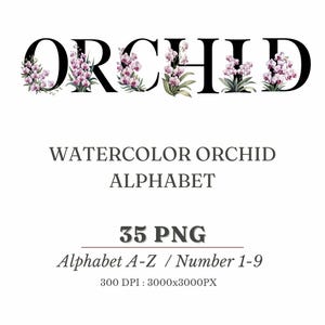 Orchids Lettering Watercolor Orchid Alphabet Clipart: Floral Letters & Numbers (PNG ...