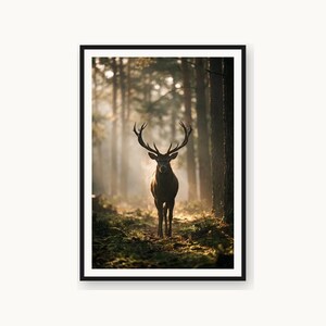 May include: A framed wall art print featuring a dark brown stag with large antlers standing in a sunlit forest. The deer is positioned in the centre of the composition, surrounded by tall trees and soft, golden light filtering through the woods.