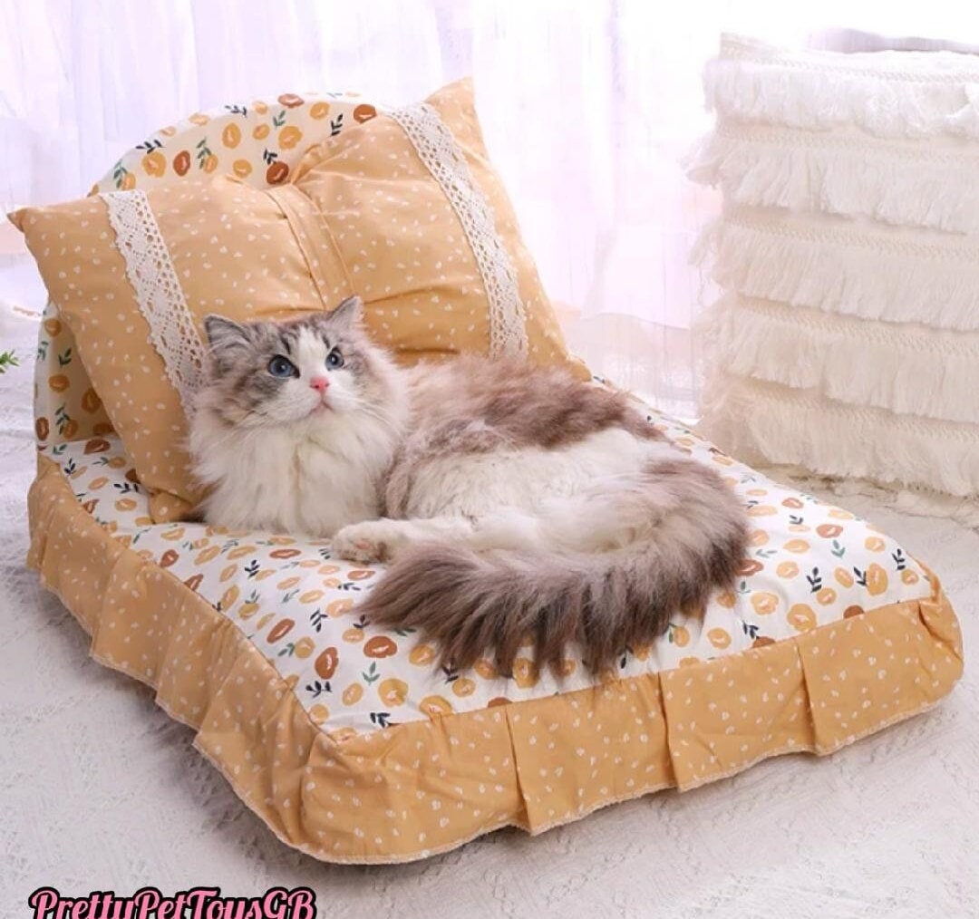 14 cute dog and cat beds to fit your home's decor