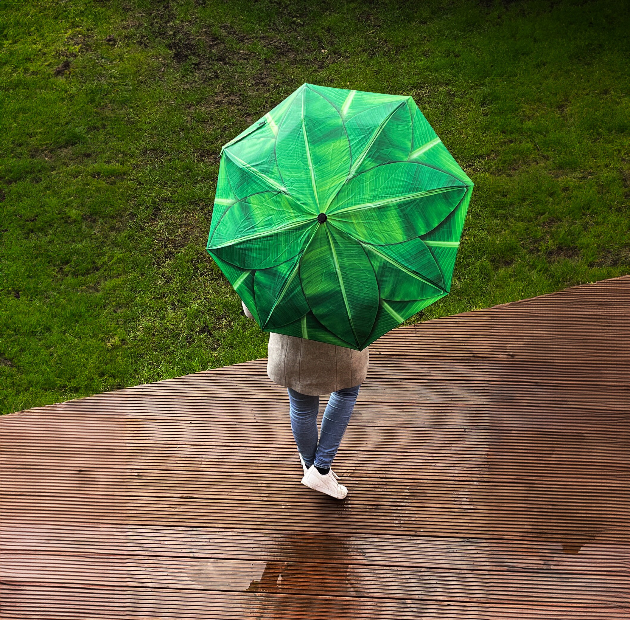 Cute rain umbrellas for sale deals