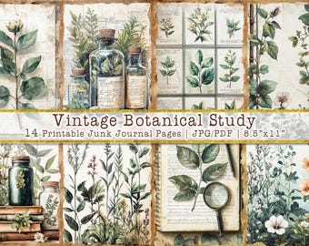 Vintage Botanical Study | Natural Green Leaves Printable Junk Journal Pages (Digital Download)