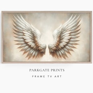 May include: A framed print of a pair of white angel wings with brown and beige feathers against a light beige background.