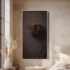 May include: A framed print featuring a dried brown hydrangea flower against a dark background. The flower's intricate details are highlighted, creating a natural, minimalist aesthetic. The frame is a light wood color, adding warmth to the artwork.