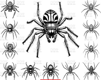 Ensemble SVG araignée : 57 fichiers vectoriels clipart araignée (téléchargement numérique)