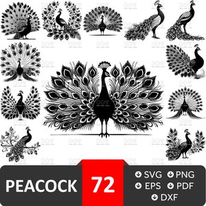 Pfauenbild, Pfau Cricut, Pfau Vektor-Datei, Pfau Schichtbild, Pfau Dxf, Pfau Schnittdateien für Cricut, digitaler Download