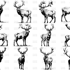 Deer SVG, Deer Svg Bundle, Deer Cut Files, Deer Png, Deer Head Svg
